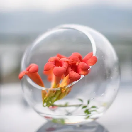 Country Stays- Flor - Comfort And Tranquility With A Stunning View Апартаменты