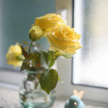 Country Stays- Flor - Comfort And Tranquility With A Stunning View Lägenhet