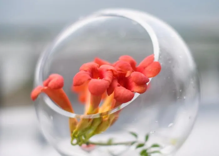 Country Stays- Flor - Comfort And Tranquility With A Stunning View Apartman