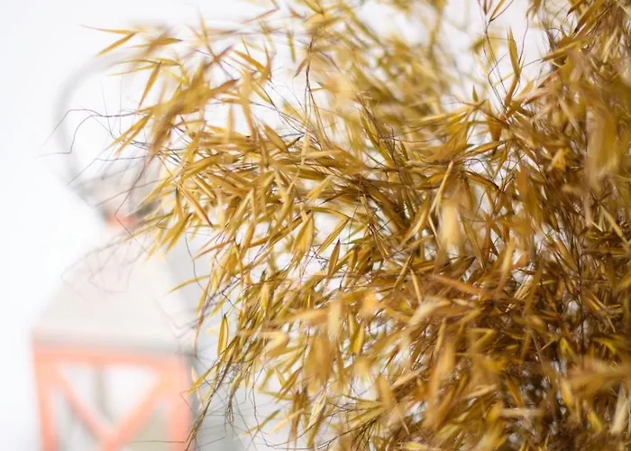 Country Stays- Flor - Comfort And Tranquility With A Stunning View Geres