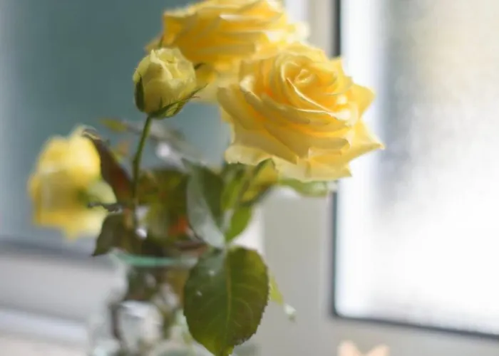 Country Stays- Flor - Comfort And Tranquility With A Stunning View Apartman